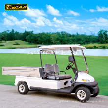 EXCAR 2 Seats golf buggy cheap golf cart for sale Electric golf cart price